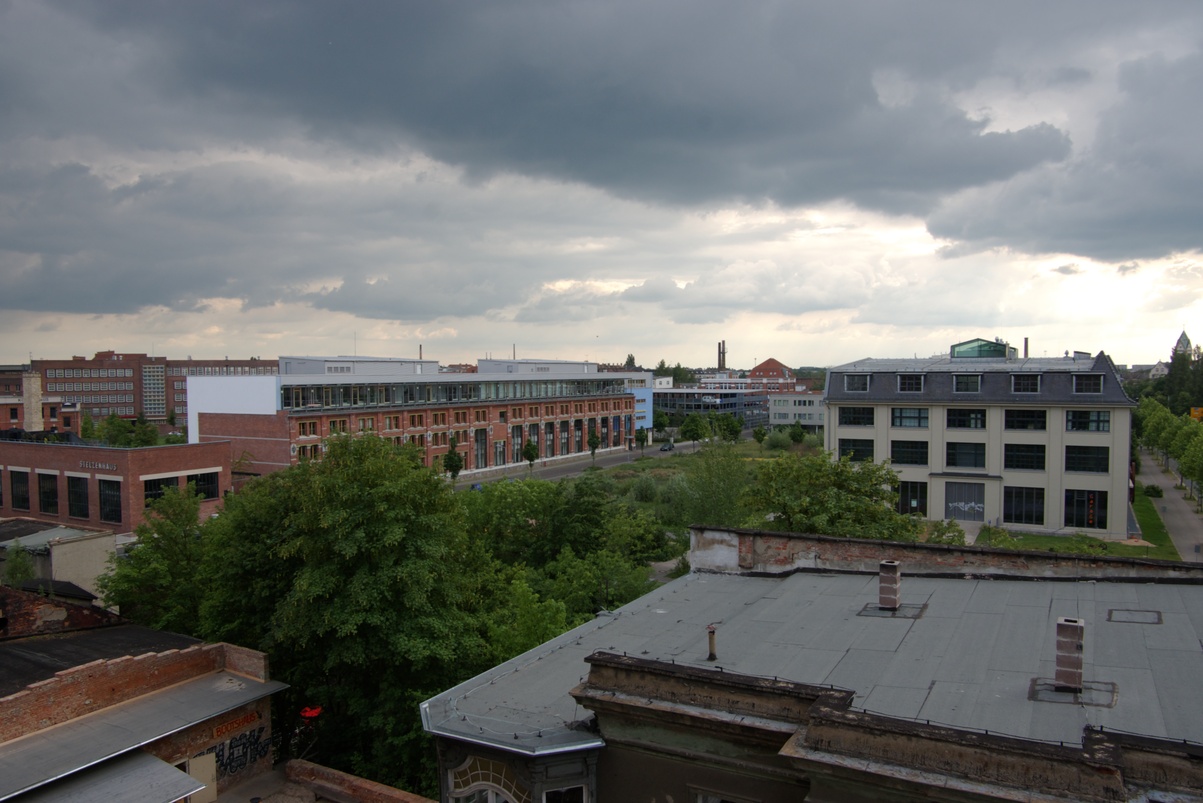 IMGP5127.jpg
